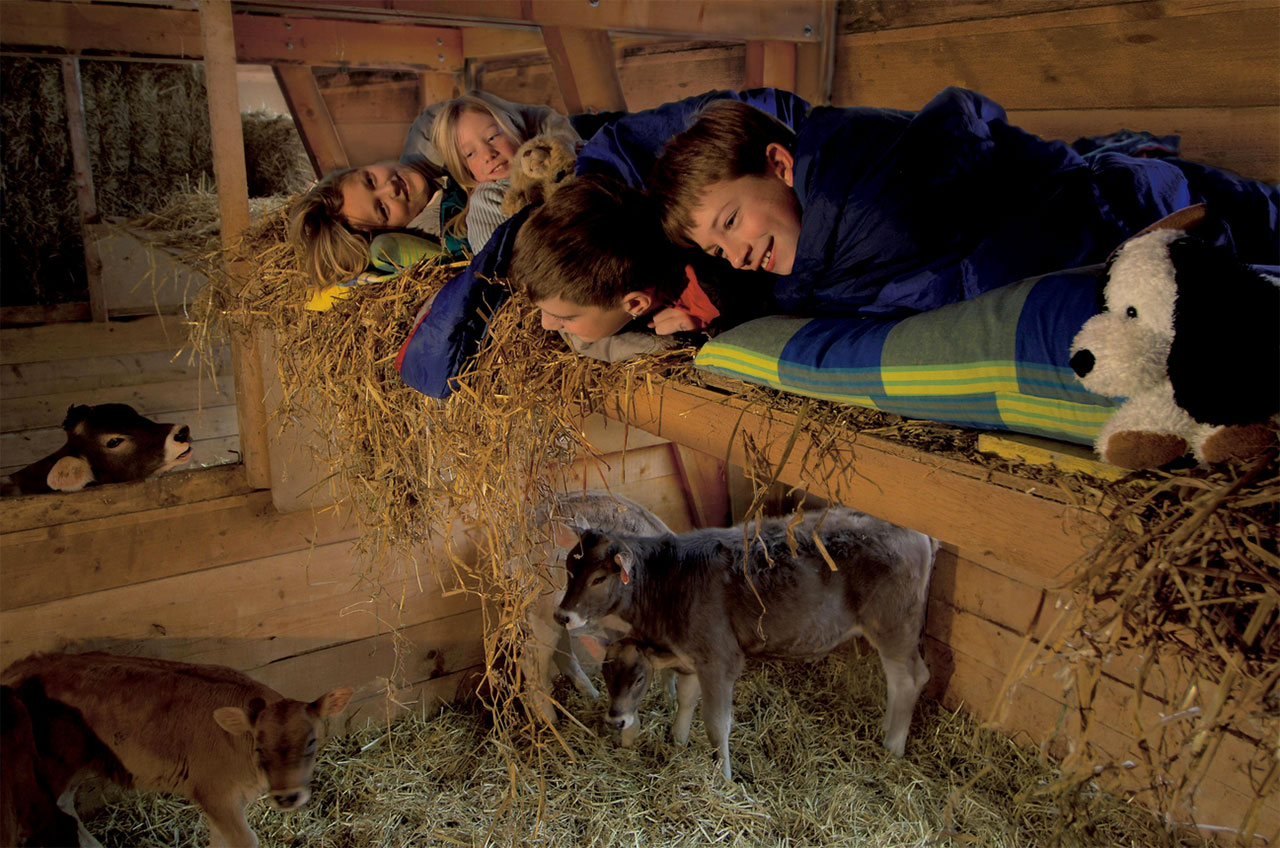 TGV Lyria - Family travel in a Swiss farm