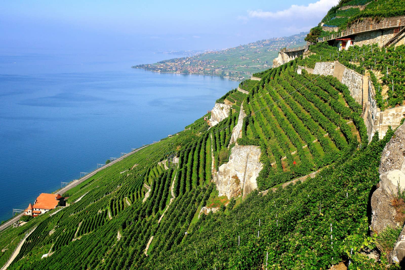 tgv lyria visit lausanne and its beautiful nature vineyards lake