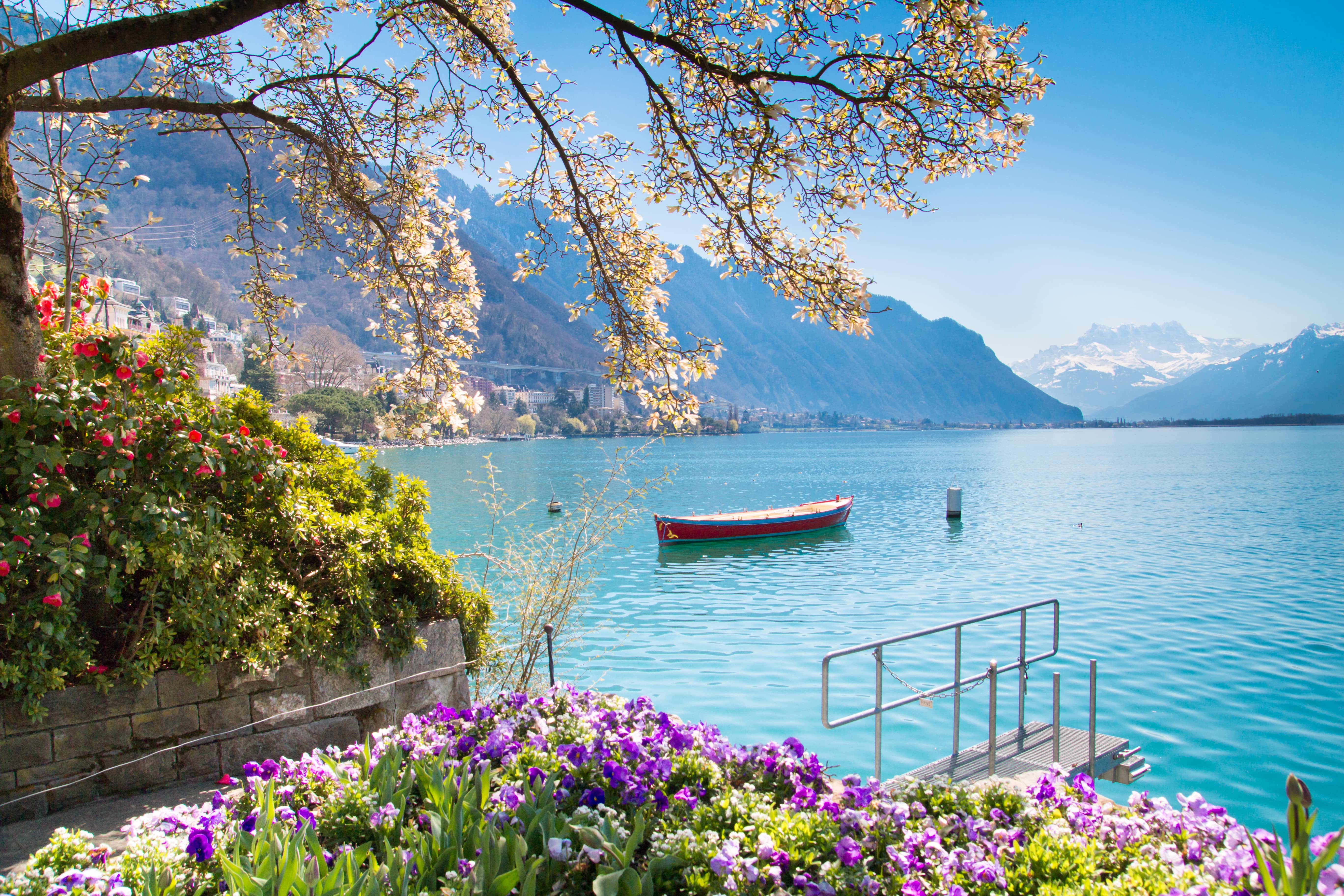 tgv lyria flowers mountains lake Geneva in montreux