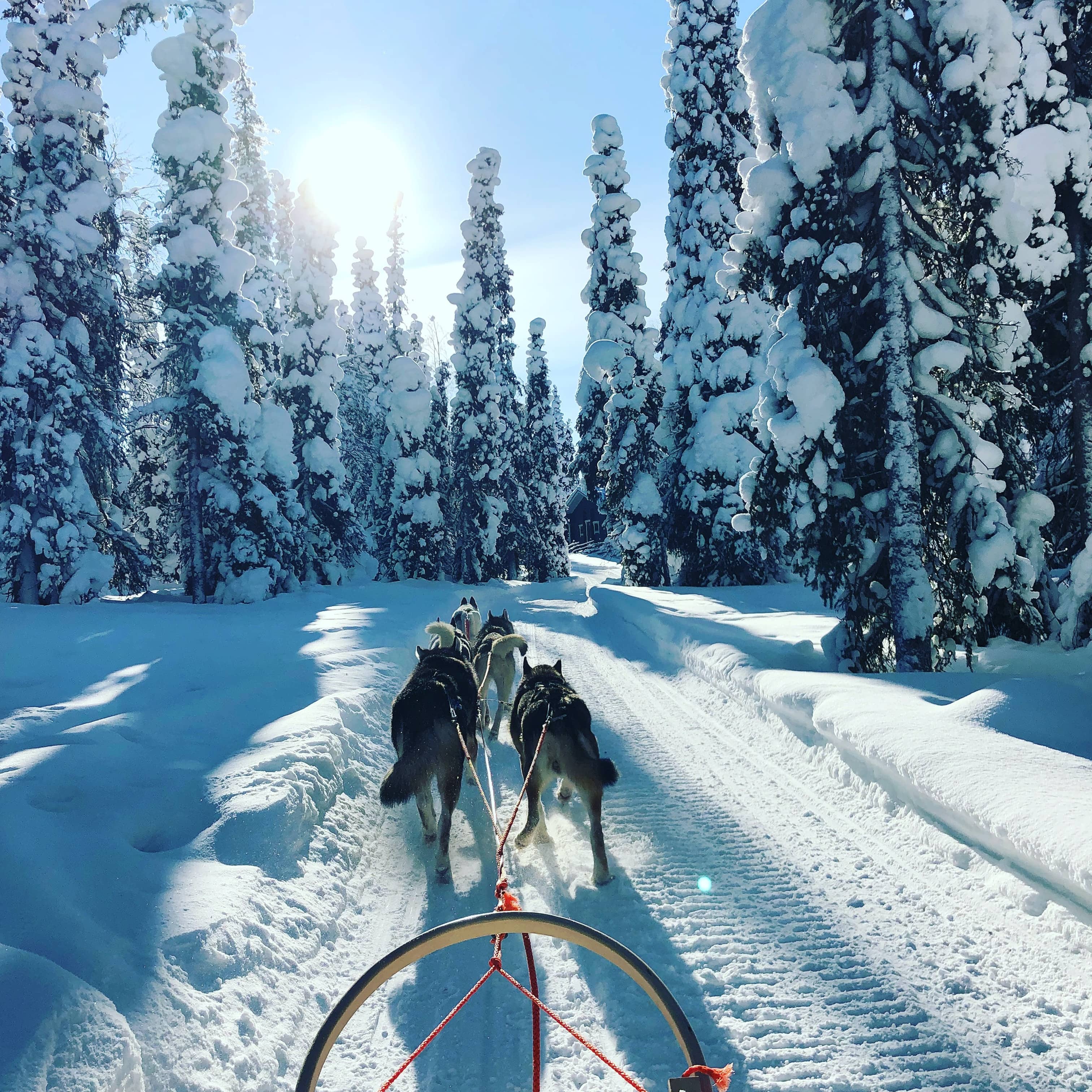 tgv lyria mountain activity in snow