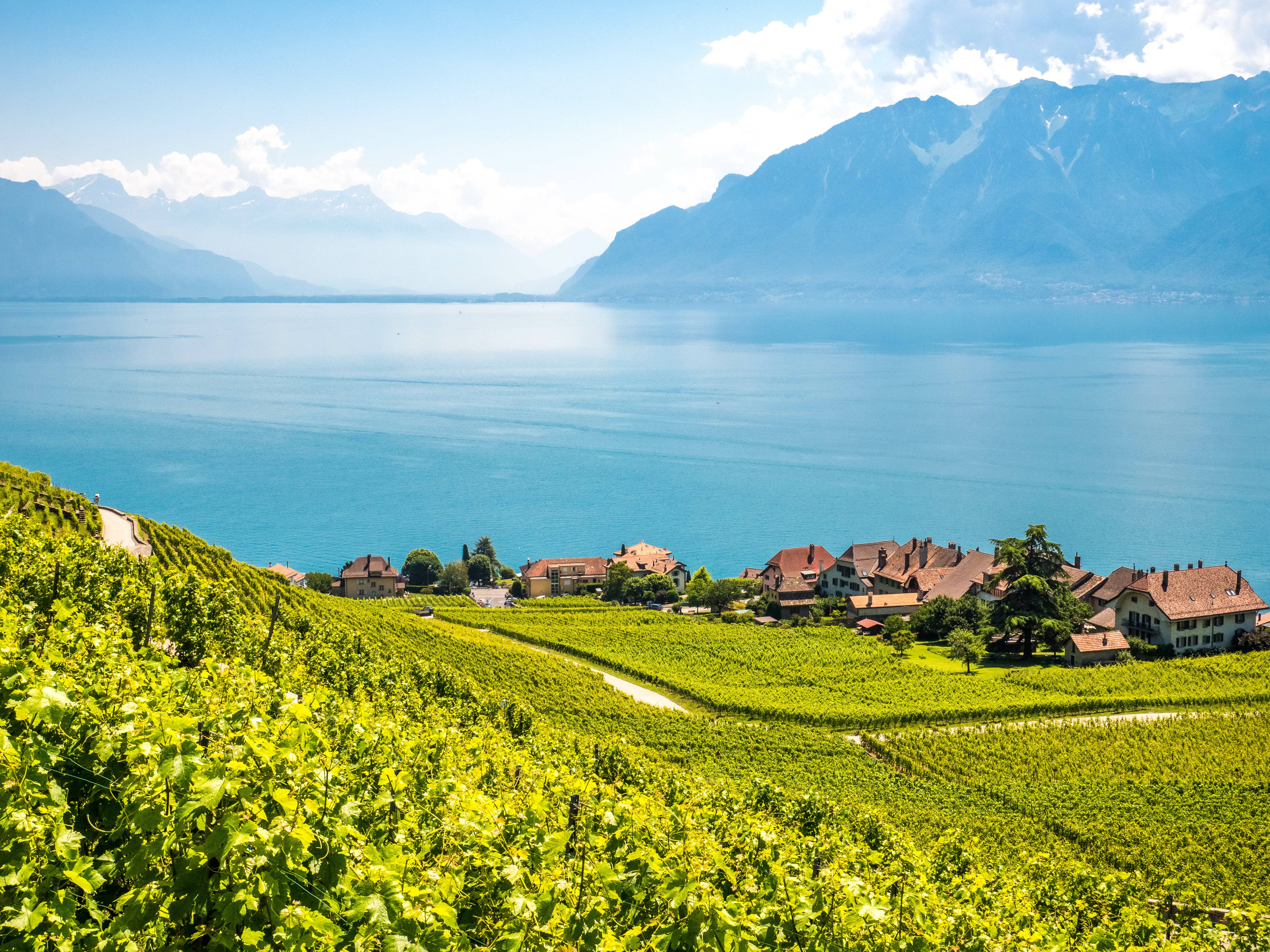 tgv lyria leman lake panoramic view mountains