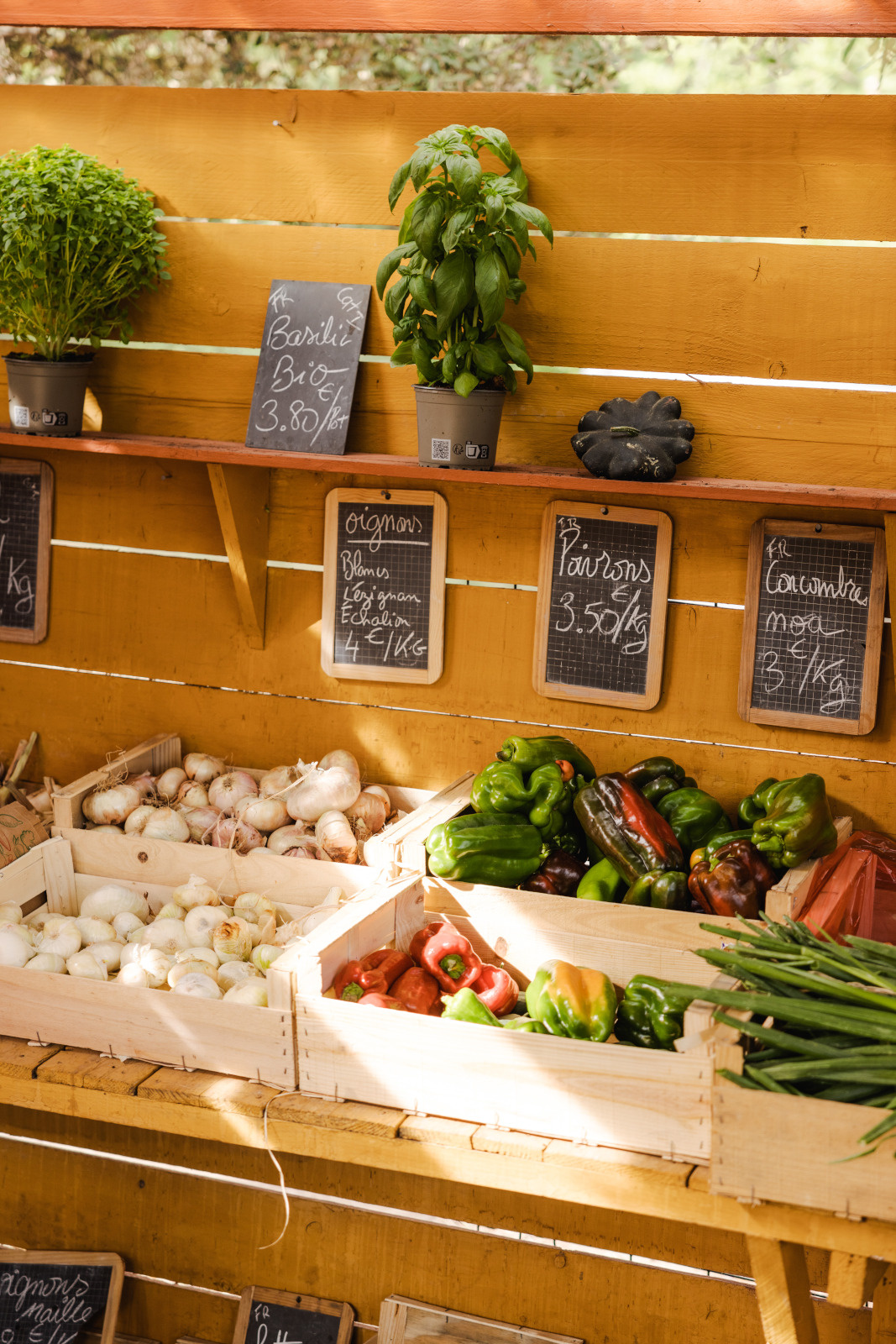 tgv lyria vegetable market south of france