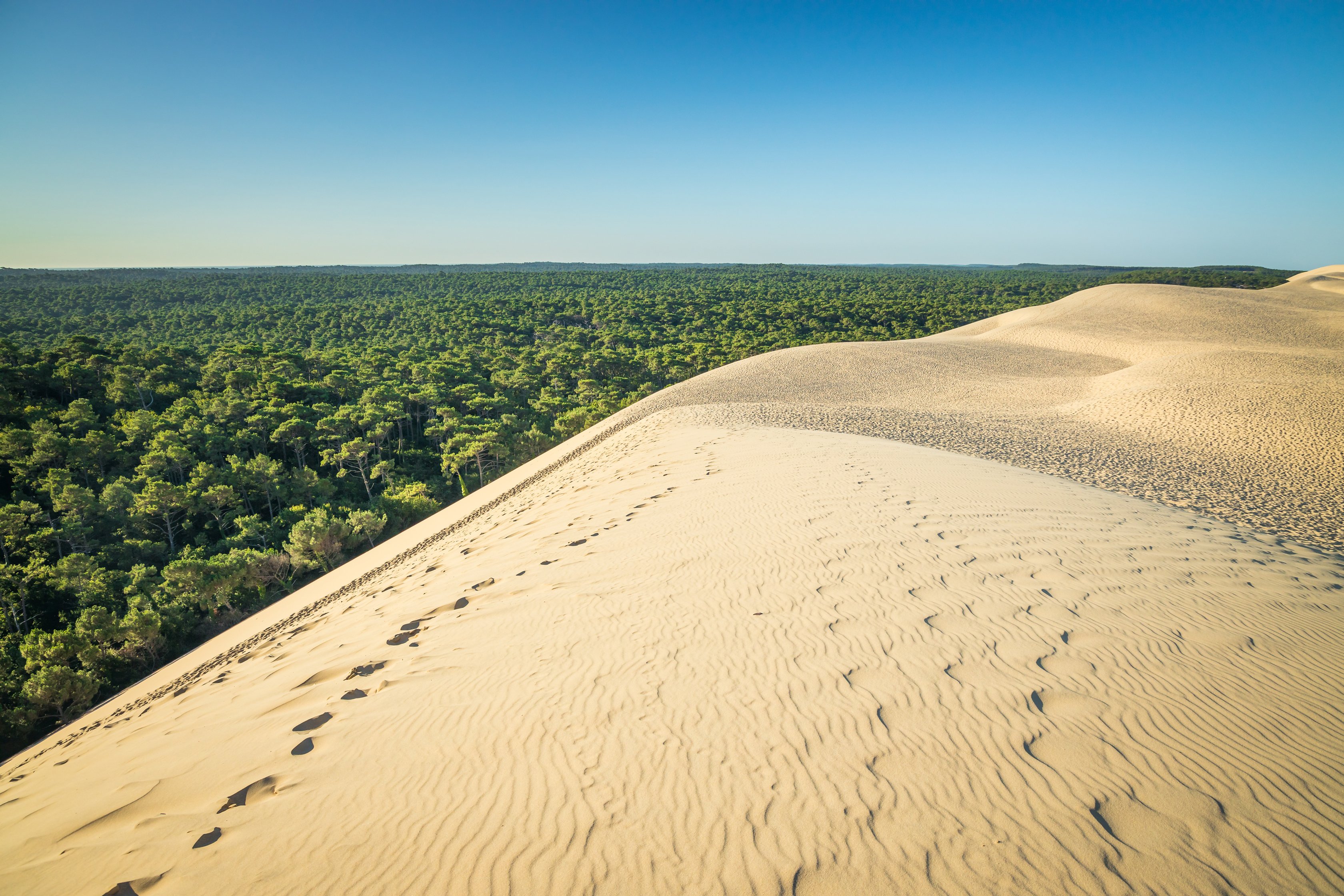 Dune du Pila
