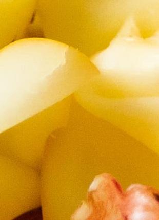 Unsere Essensangebote im Frühjahr und Sommer!