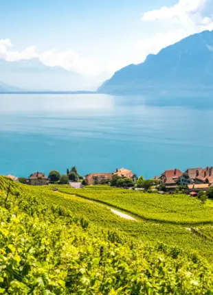 Cap sur le Domaine de la Crausaz