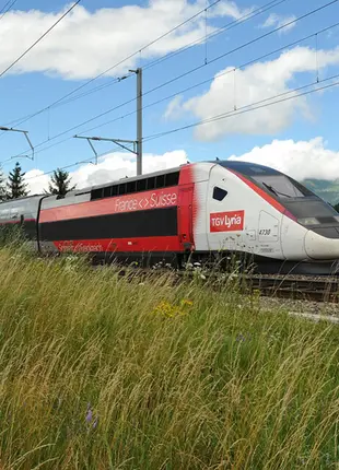 TGV Lyria - train in the fields