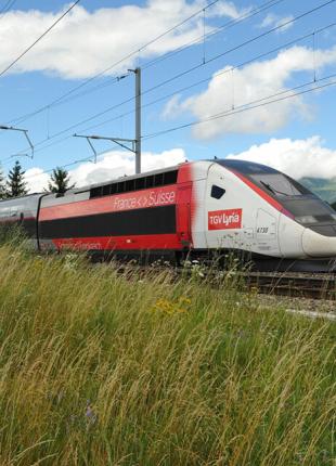TGV Lyria - train in the fields
