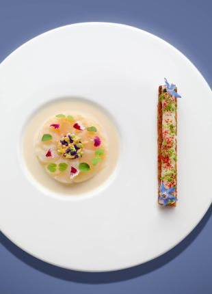 Michel Roth recipe - Carpaccio of scallops