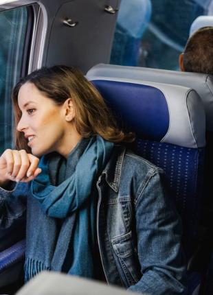 tgv lyria traveller landscape in train