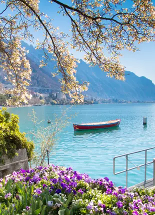 tgv lyria flowers mountains lake Geneva in montreux