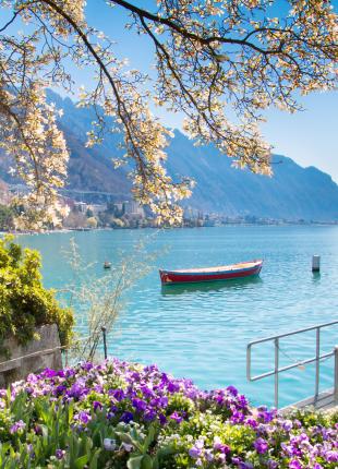 tgv lyria flowers mountains lake Geneva in montreux
