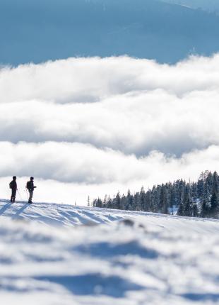 tgv lyria ski and hiking in mountains