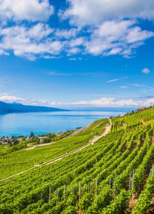 tgv lyria vigns near geneva