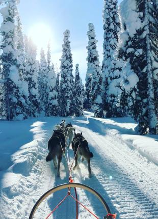 tgv lyria mountain activity in snow
