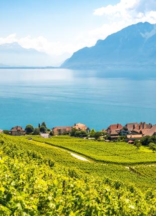 tgv lyria leman lake panoramic view mountains 