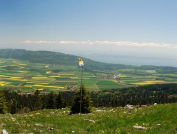Neuchâtel landscape