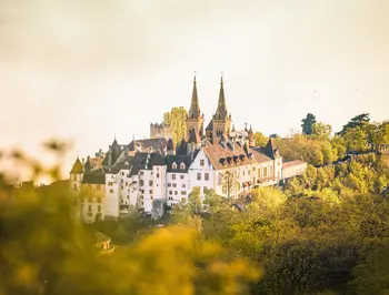 tgv lyria cattle neuchatel landscape