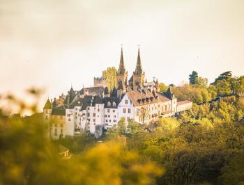 tgv lyria cattle neuchatel landscape