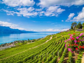 tgv lyria vigns near geneva