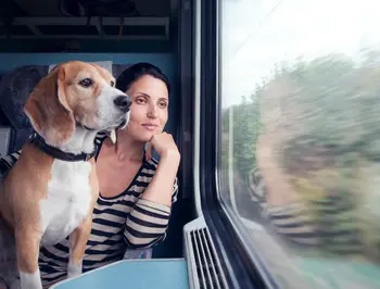 tgv lyria travelling with pets