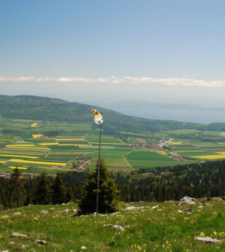 Neuchâtel landscape