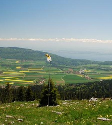 TGV Lyria - Switzerland nature in the summer