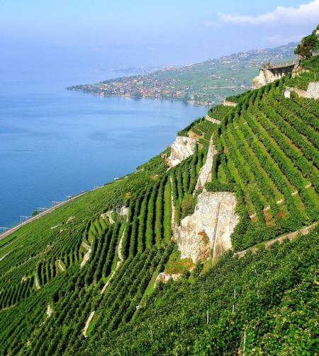 tgv lyria visit lausanne and its beautiful nature vineyards lake