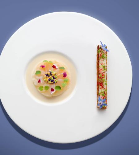 Michel Roth recipe - Carpaccio of scallops