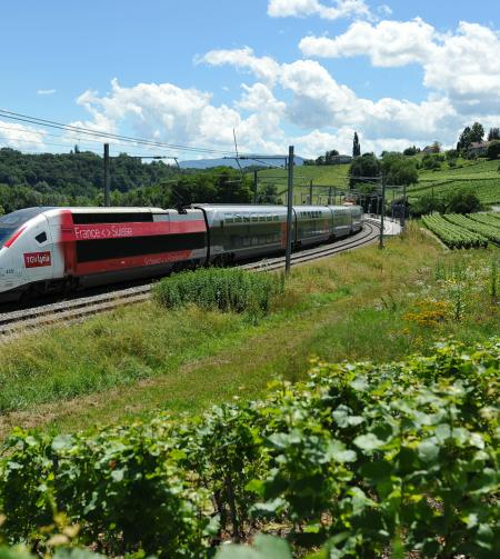 tgv lyria train spring summer nature