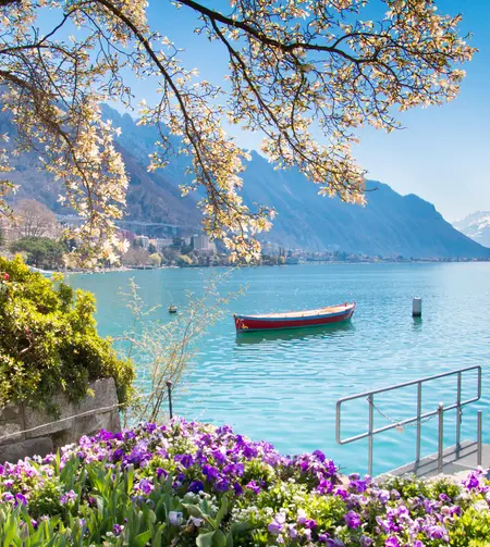 tgv lyria flowers mountains lake Geneva in montreux