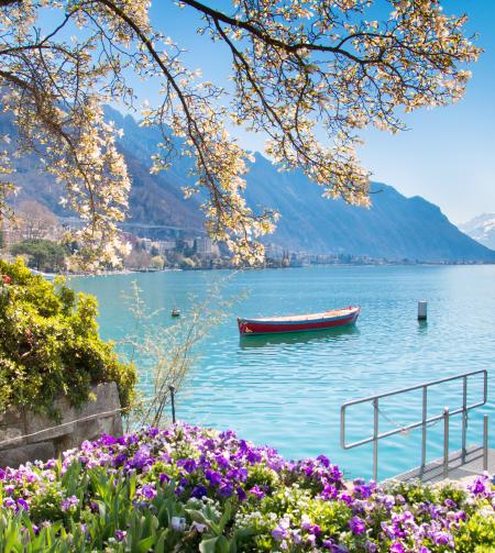 tgv lyria flowers mountains lake Geneva in montreux