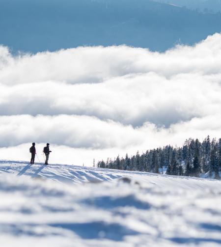 tgv lyria ski and hiking in mountains