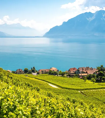 tgv lyria leman lake panoramic view mountains 