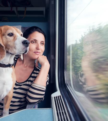 tgv lyria travelling with pets